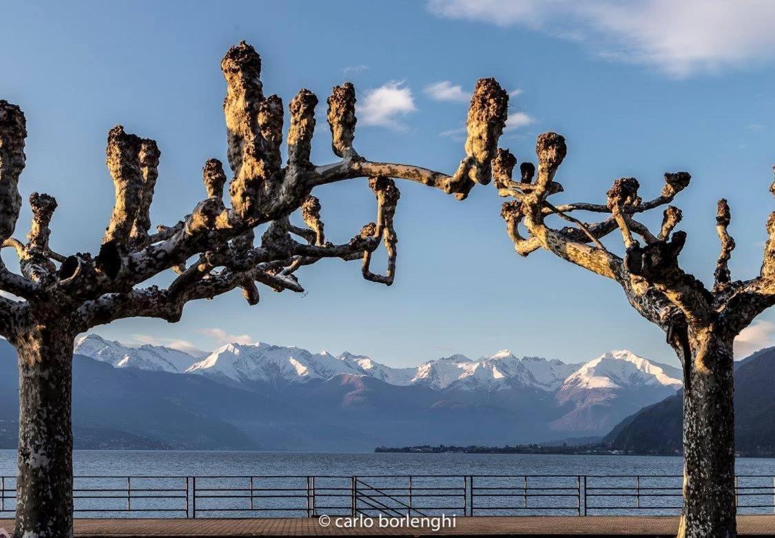 Appartamento Zia Vitto Bellano Exteriér fotografie